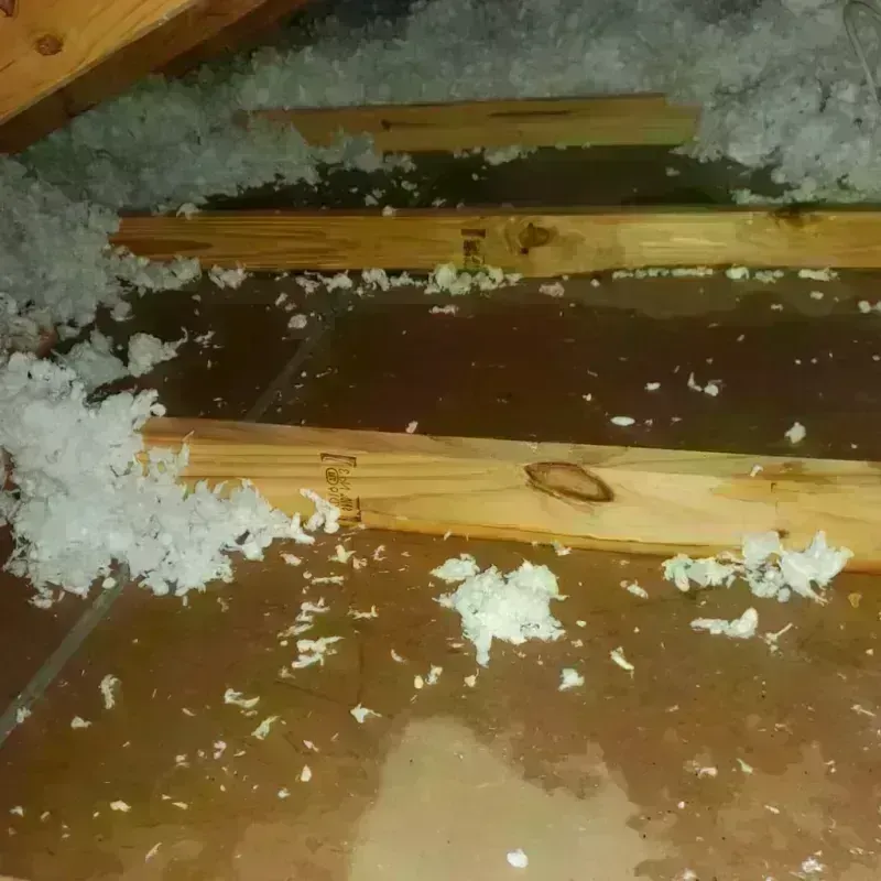 Attic Water Damage in Gordon, GA