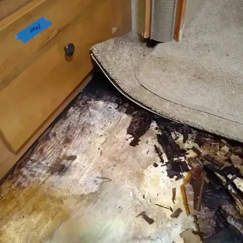 Wood Floor Water Damage in Gordon, GA